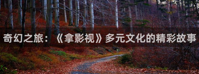 被窝影院午夜片：奇幻之旅：《拿影视》多元文化的精彩故事