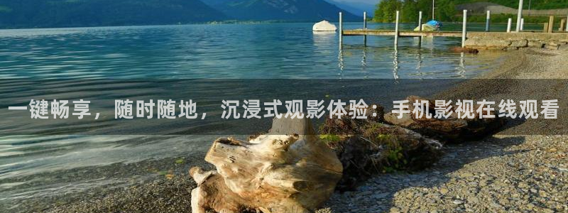 被窝理论影院：一键畅享，随时随地，沉浸式观影体验：手机影视在线观看