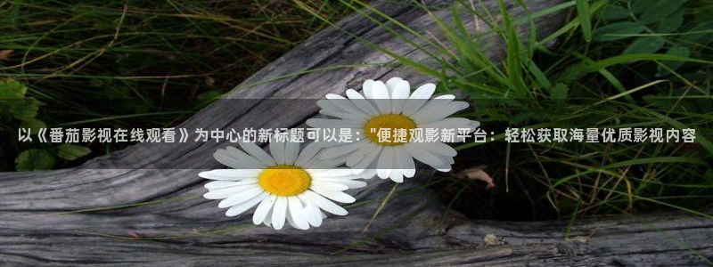 午夜极速影院被窝看片：以《番茄影视在线观看》为中心的新标题可以是：\