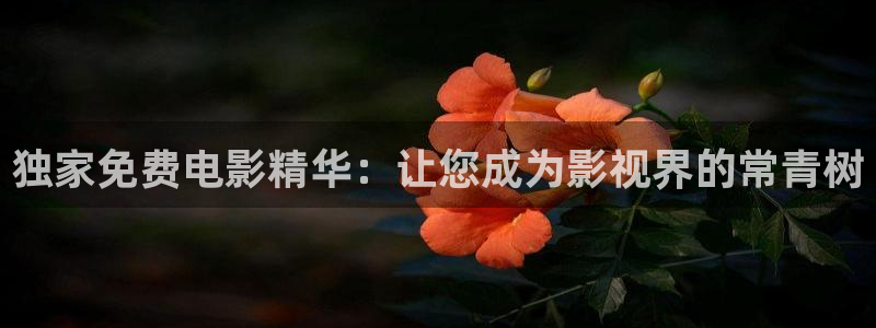 被窝窝影院：独家免费电影精华：让您成为影视界的常青树