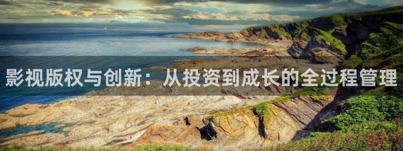 被窝影院伦理：影视版权与创新：从投资到成长的全过程管理