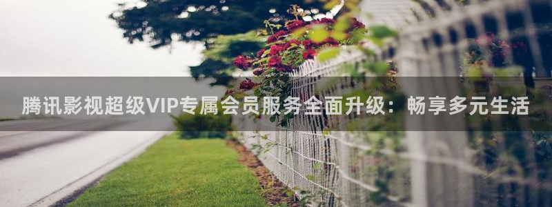 午夜被窝影院：腾讯影视超级VIP专属会员服务全面升级：畅享多元生活