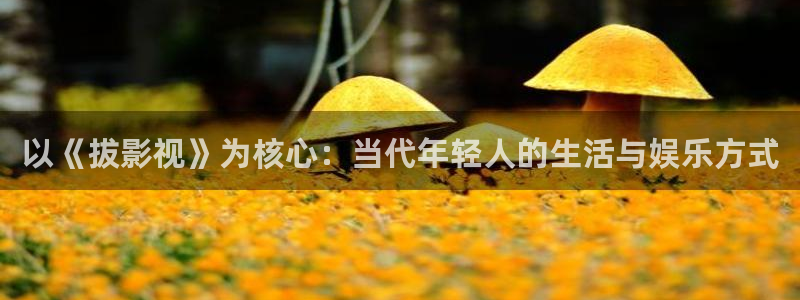 被窝电影高清天堂：以《拔影视》为核心：当代年轻人的生活与娱乐方式