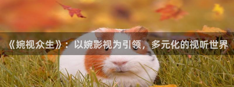 午夜被窝影视：《婉视众生》：以婉影视为引领，多元化的视听世界