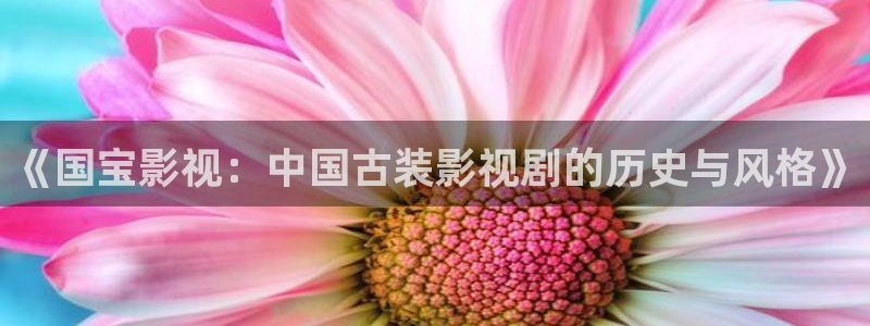 被窝理论电影网：《国宝影视：中国古装影视剧的历史与风格》