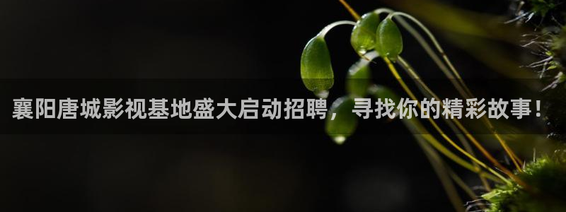 秋霞影院被窝影院在线播放：襄阳唐城影视基地盛大启动招聘，寻找你的精彩故事！
